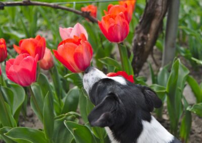 Schnupperunterricht am Gymnasium Heidberg
